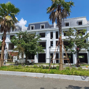 Hiếm! Lô liền kề 100m2 vị trí đẹp, giá chỉ từ 19,xtr/m2